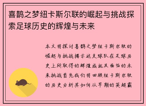 喜鹊之梦纽卡斯尔联的崛起与挑战探索足球历史的辉煌与未来