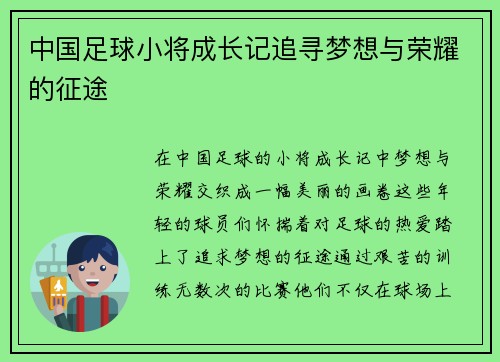 中国足球小将成长记追寻梦想与荣耀的征途